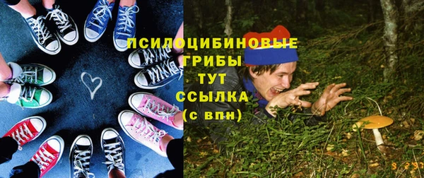 прущие грибы Верхнеуральск