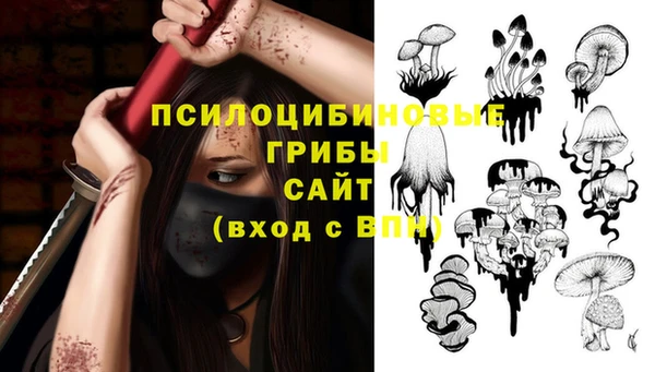 прущие грибы Верхнеуральск