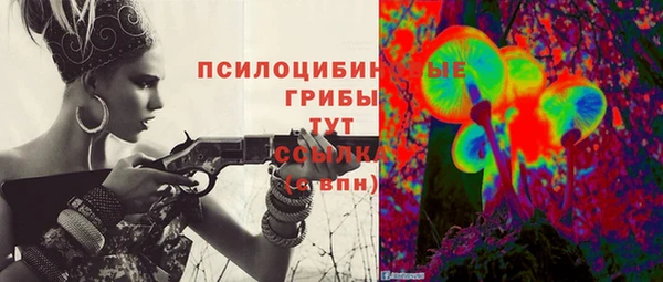 СК Верея