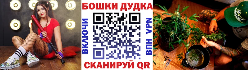 Бошки Шишки индика Ливны